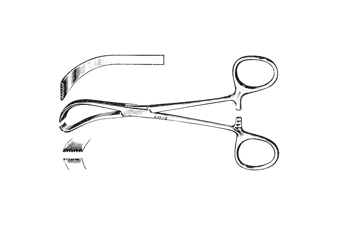 Edna Towel Forcep