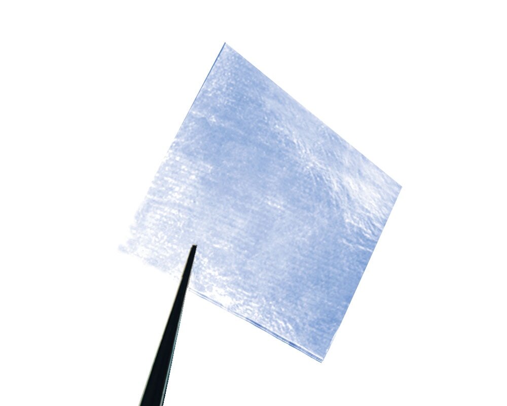 BioDDryFlex® Amniotic Tissue Membrane